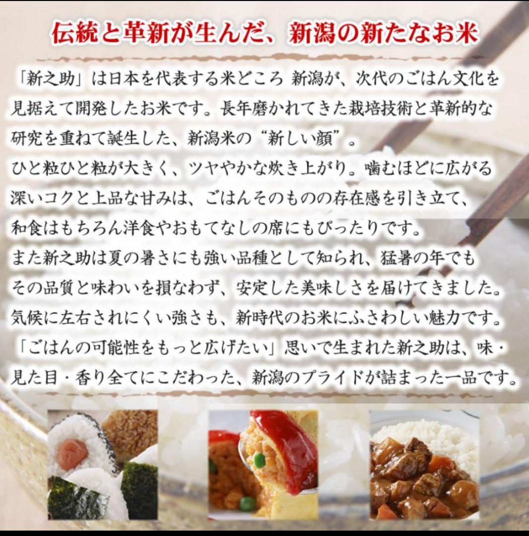 新潟産 新之助 白米 10kg(5kg×2袋)