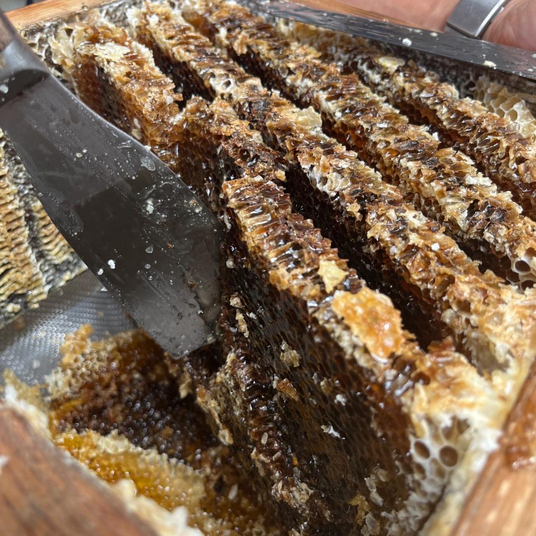 天然 凝固 日本みつばち はちみつ 500g×2本 非加熱 百花蜜 生ハチミツ