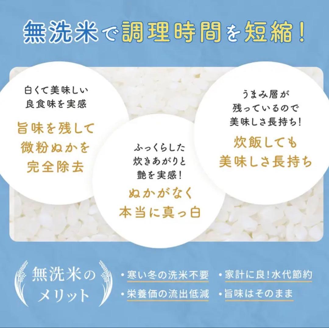 コシヒカリ　福井米　令和7年米　新米　15kg 無洗米