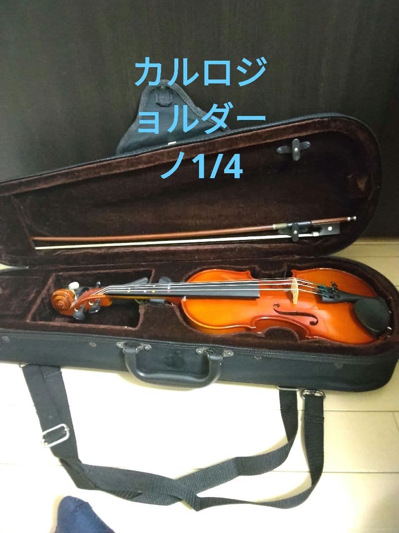 Carlo Giordano vs-1 1/4 2013年製