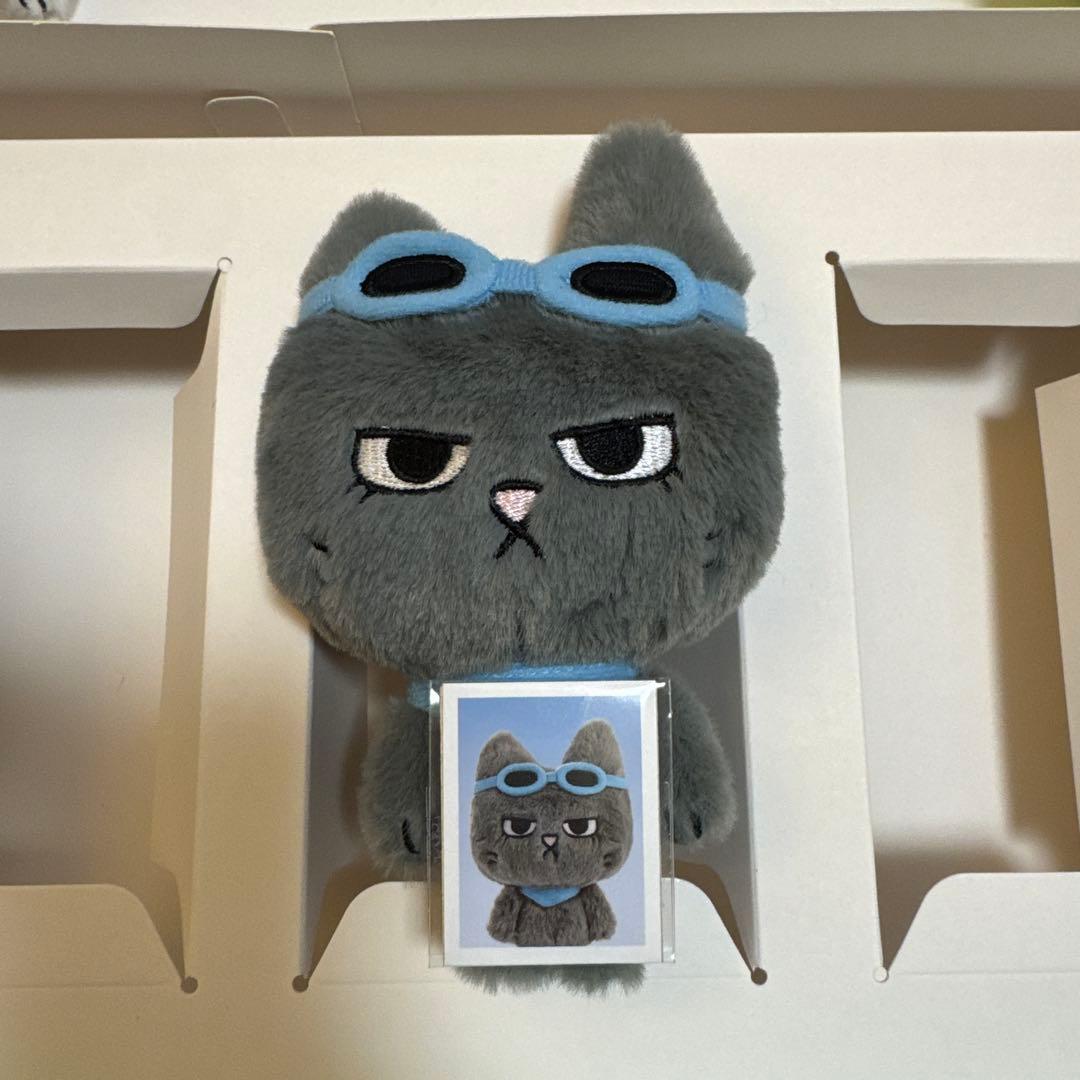 BOYNEXTDOOR プネクド キーリング テサン