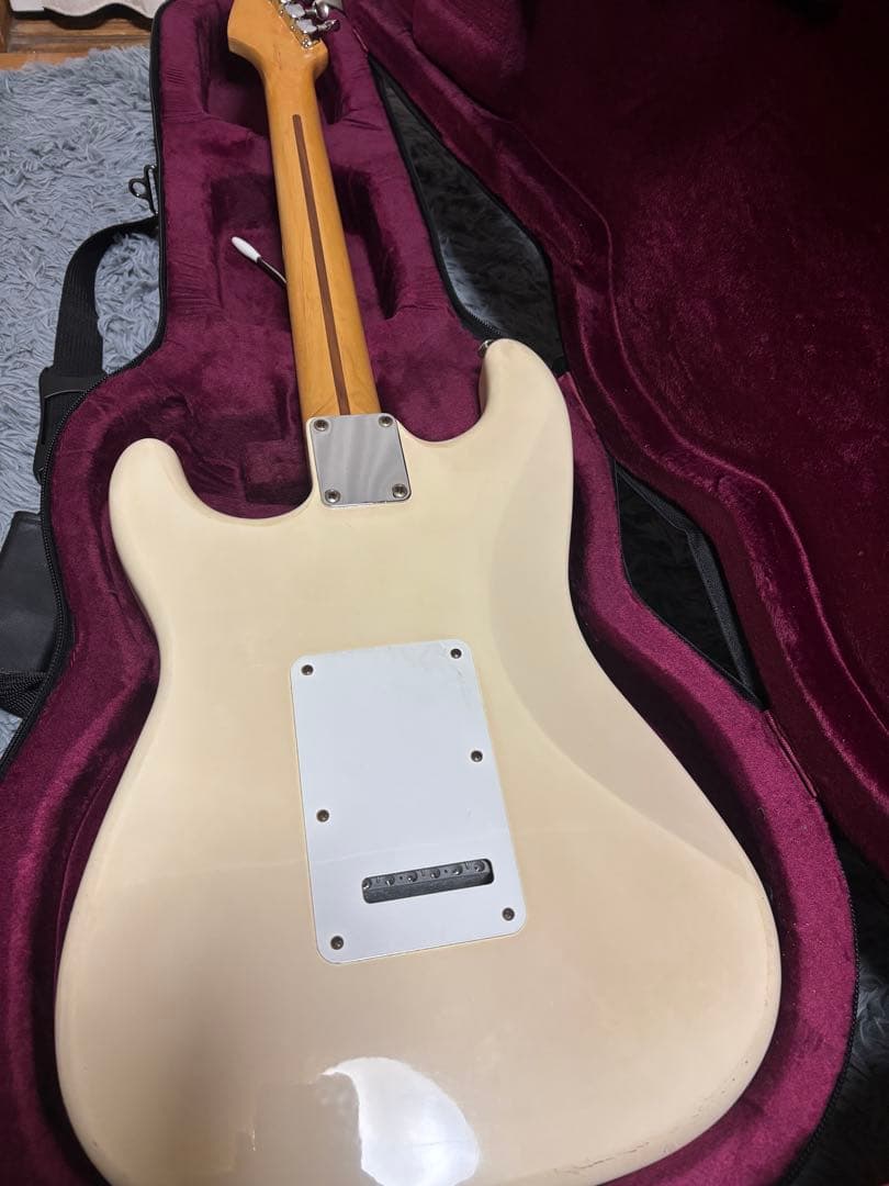 Fender Mexico Stratocaster(セミハードケース付き)