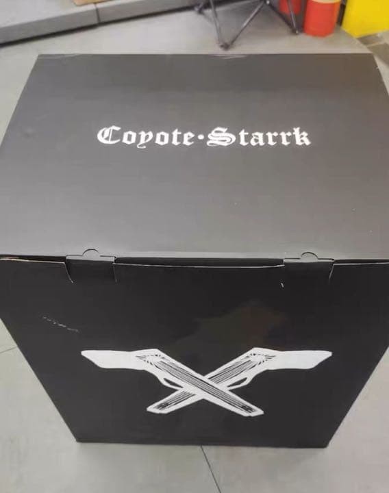 BLEACH 黒衣少年図 コヨーテ 1/8ガレージキット ガレキ スタチュー①