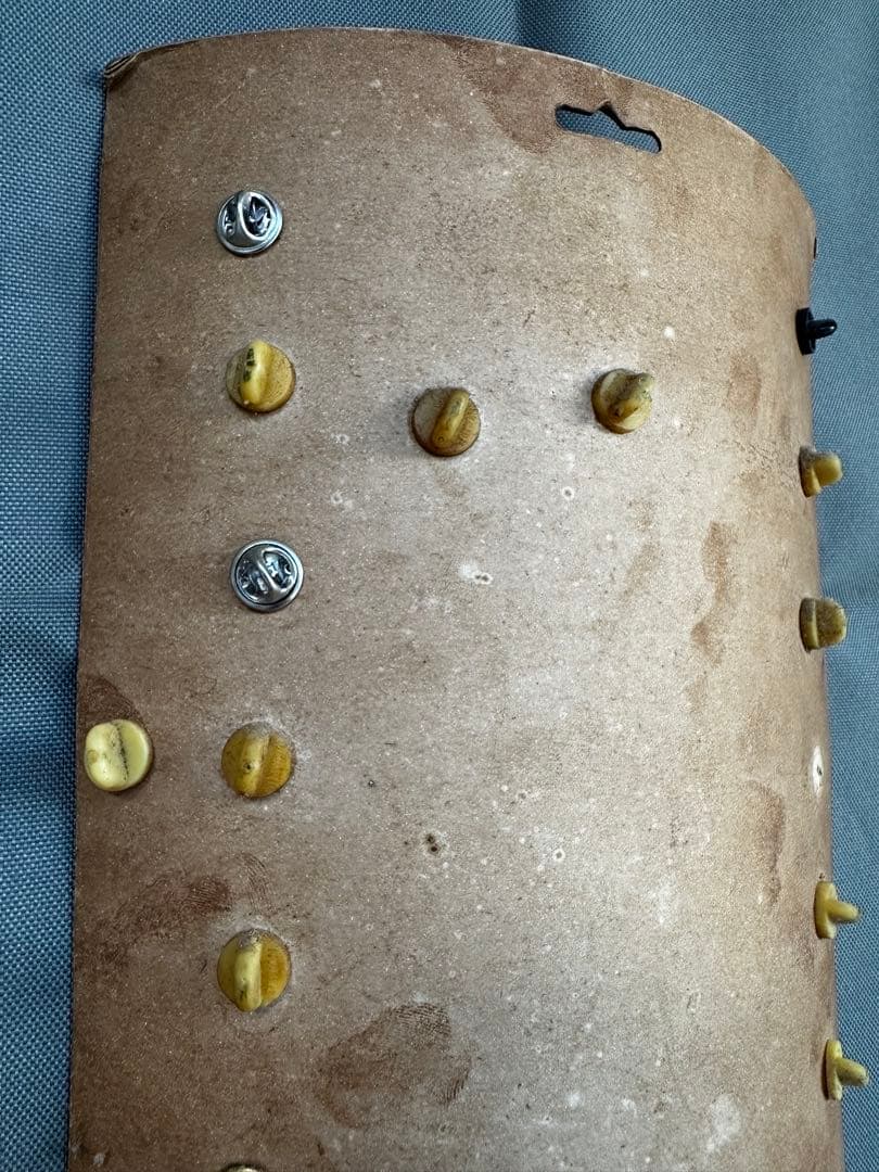 米軍　ベトナム派遣部隊　ピンバッジ