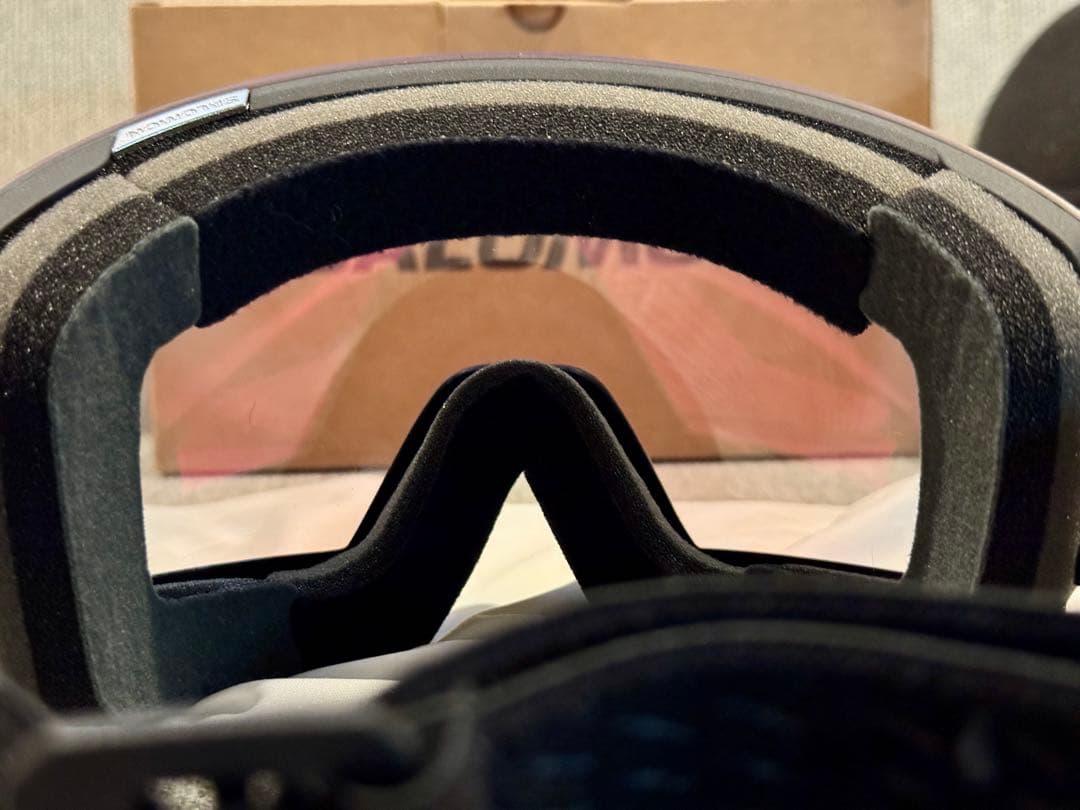 SALOMON RADIUM PRO SIGMA PHOTO ゴーグル