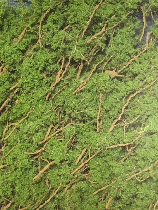 ジオラマ用完成樹木 ライト緑色 枯れ葉色 2個セット