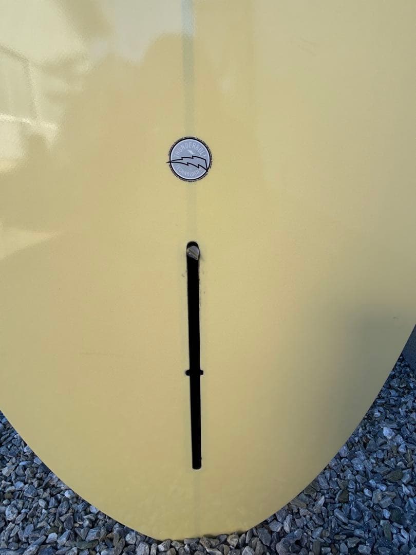 送料込み価格に変更‼️美品 CJネルソン サンダーボルト ネオクラシック 10ft