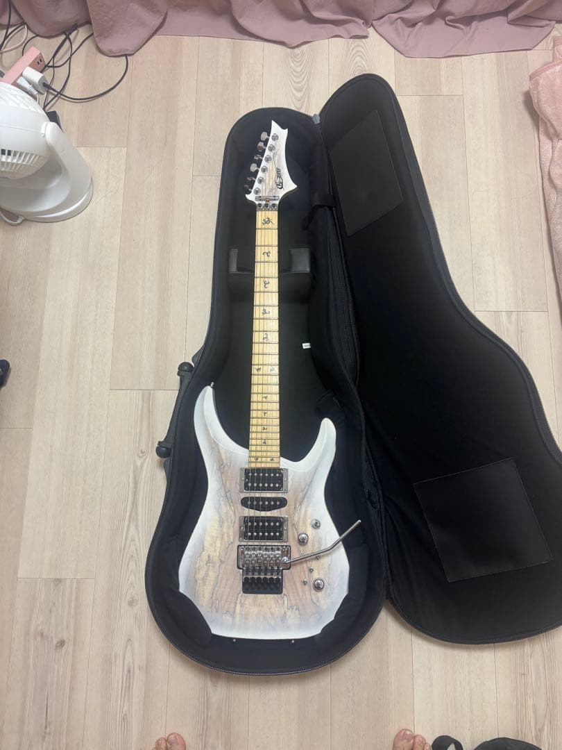 ギター G-Life DSG Life Spalted  White