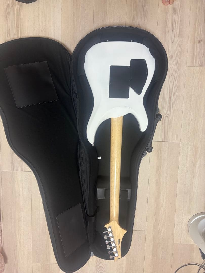 ギター G-Life DSG Life Spalted  White