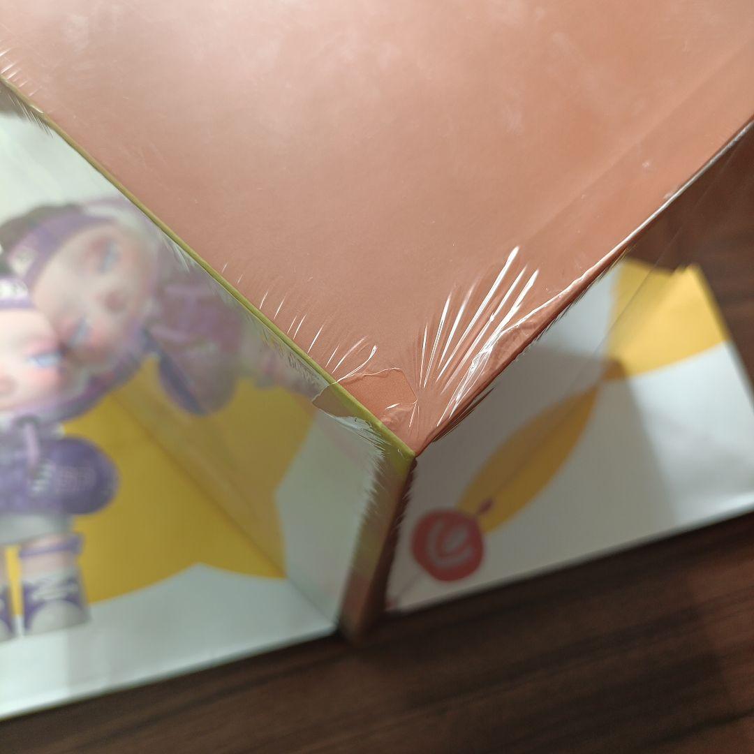 THE MONSTERS Thanksgiving ラブブ ポップマート