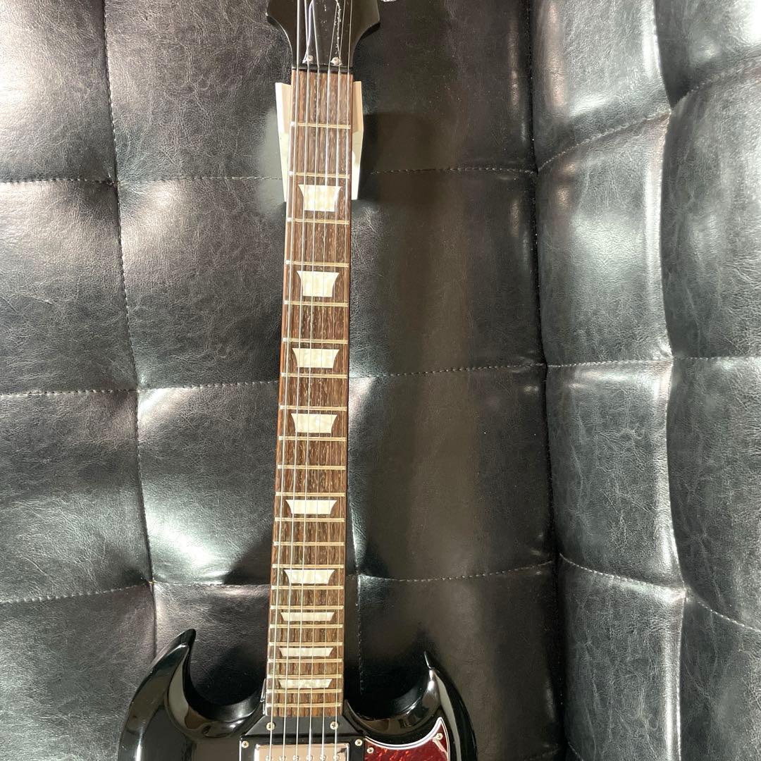 Epiphone SG 鼈甲 BLACK GROVER PEGグローバー