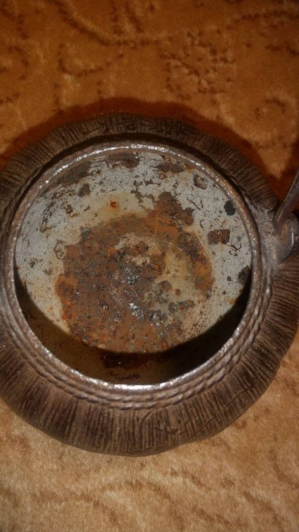 龍文堂　鉄瓶　珍品　草花紋