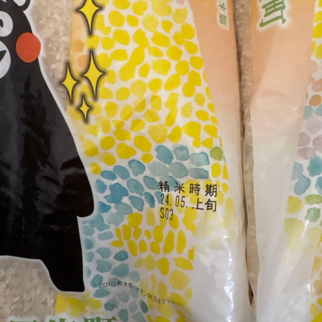 甲佐町産 10kg 米 精米2024年5月上旬