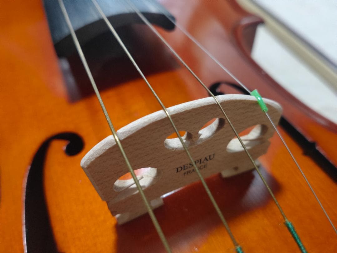 【値下げ】Romanza RV-250 Outfit 4/4 バイオリン