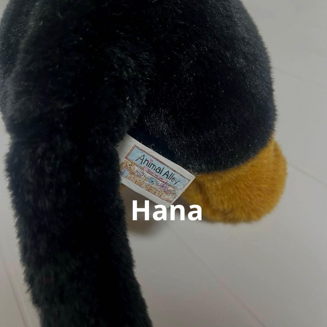 激レア⁉︎ Animal Alley ダックスフンド ぬいぐるみ 黒 インテリア