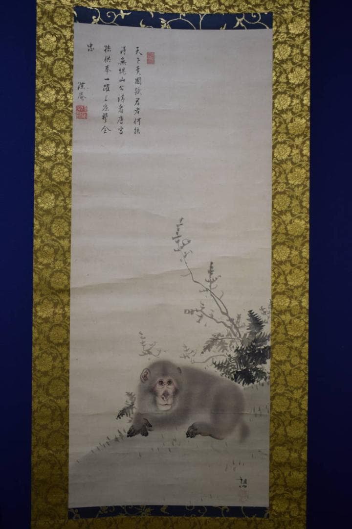 真作/森派の祖/森祖仙/猿画賛/金襴表装/布袋屋掛軸HI-101