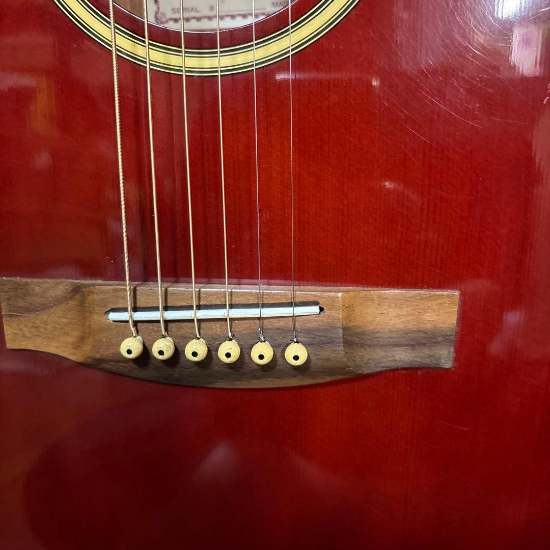 値下げ！Sepia Crue EAW350-WRS エレアコ　小ぶり新品弦❗️