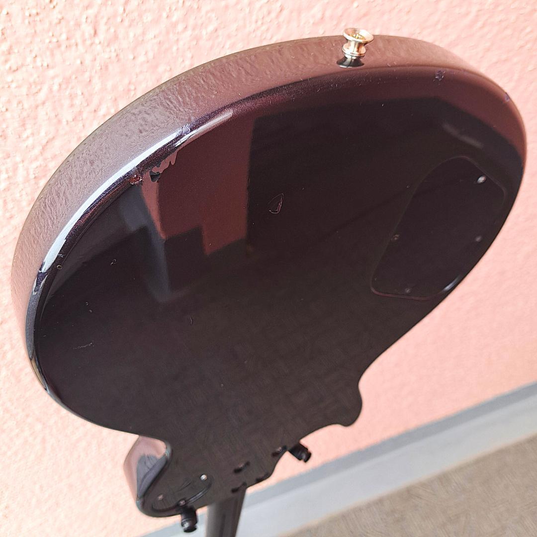 ■FERNANDES RE-95G ディマジオ 瀧川一郎 D’ERLANGER