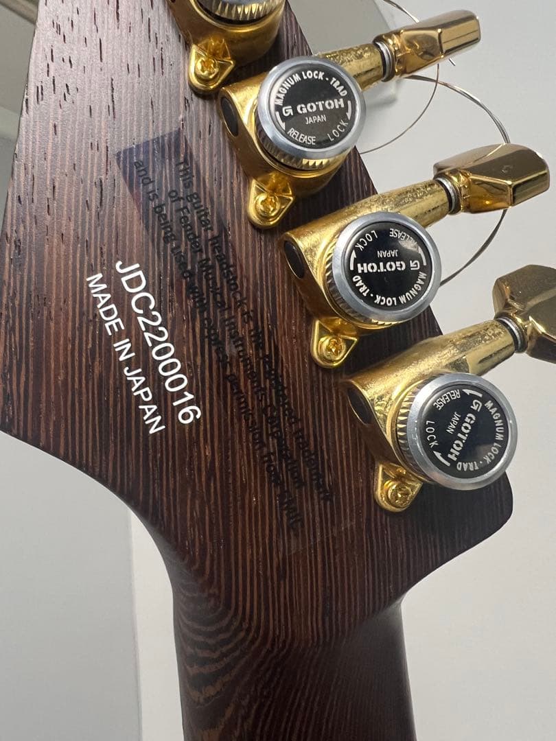 ギター Charvel MJ Dinky DK24 2PT E MAH Natural