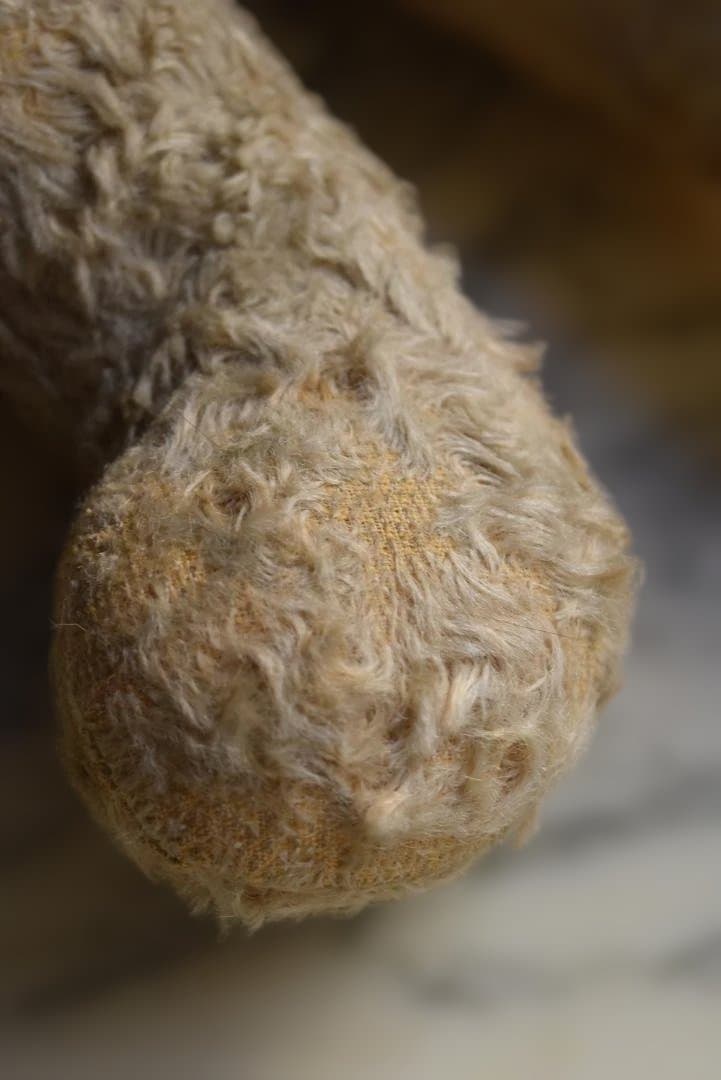 フランスアンティーク たくさん可愛がられたテディベア 熊ぬいぐるみ