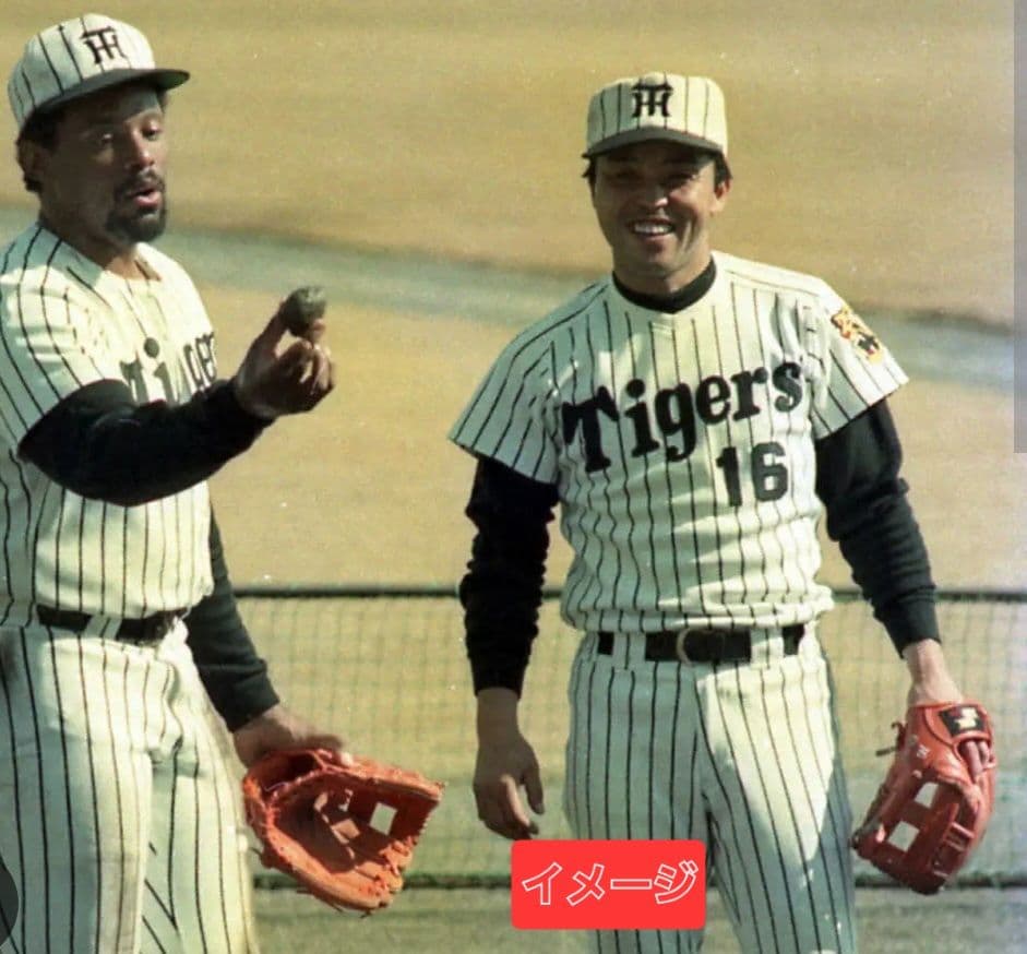 SSK プロフェッショナルモデル 阪神タイガース 岡田彰布刺繍入り