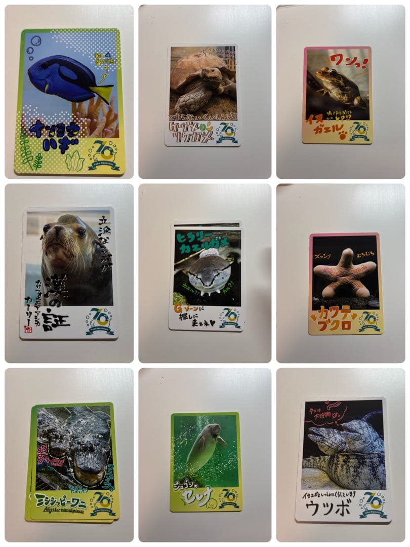 鳥羽水族館トレカ セット売り 一覧