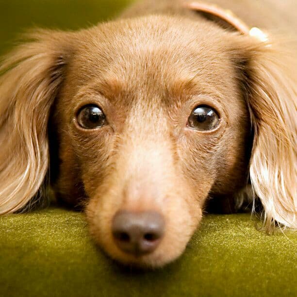 ミツマメ子さん専用