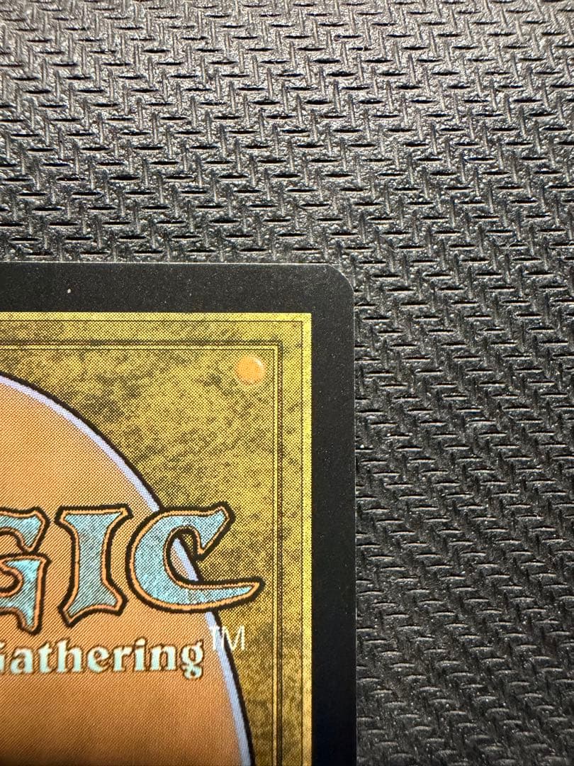 MTG 量子の謎かけ屋　ボーダーレス　日本語