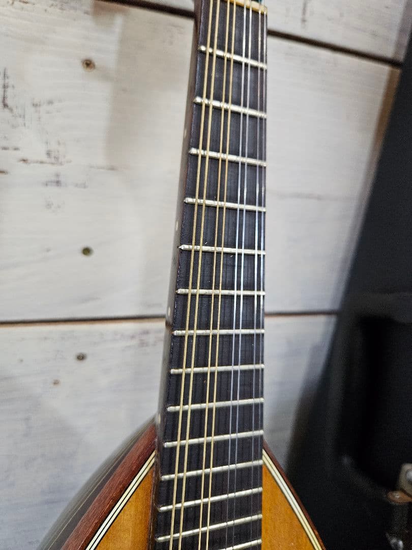 ラファエレ カラーチェ マンドリン 白蝶貝装飾 象嵌 べっ甲 1974年製