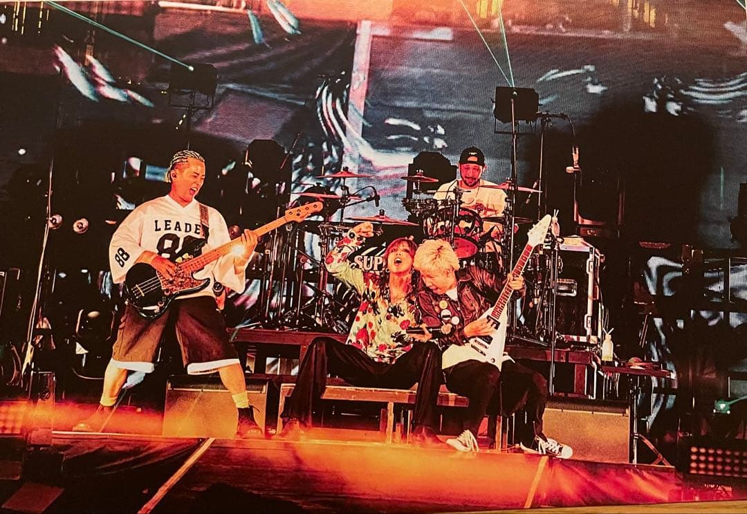 SUPER BEAVER パネル