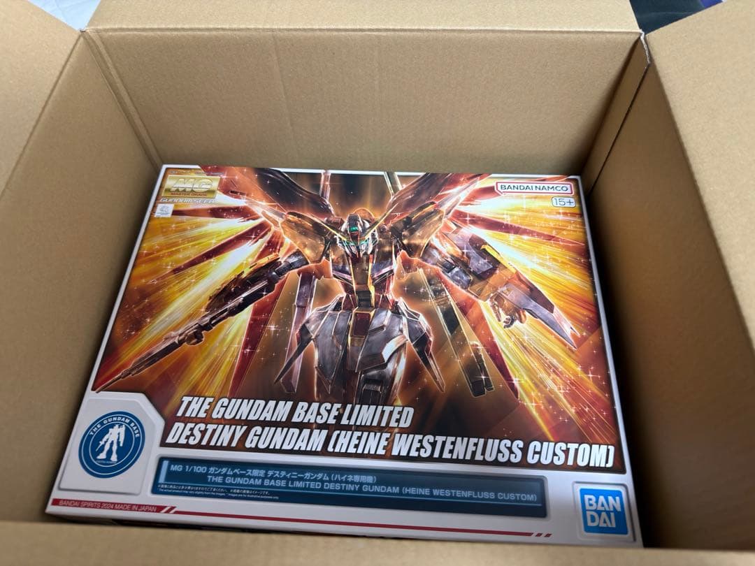 4点セット MG ハイネ専用 デスティニー 最終決戦 RGブラスト マンダラ