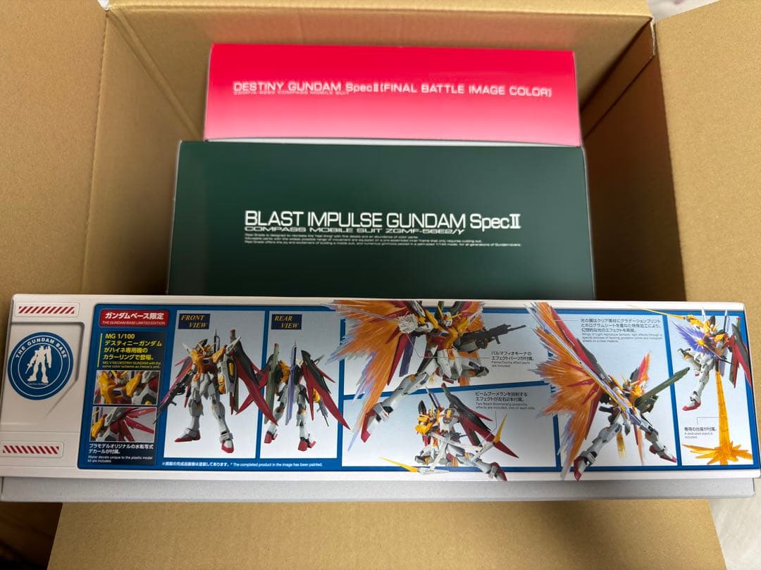 4点セット MG ハイネ専用 デスティニー 最終決戦 RGブラスト マンダラ