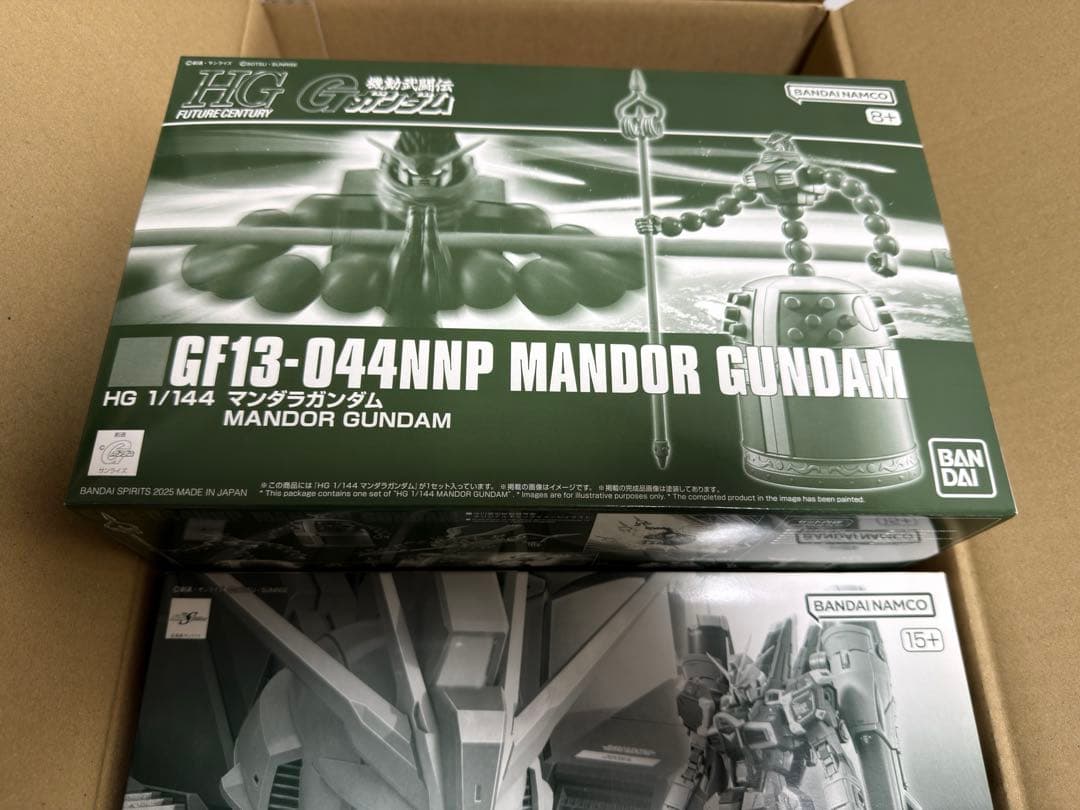 4点セット MG ハイネ専用 デスティニー 最終決戦 RGブラスト マンダラ