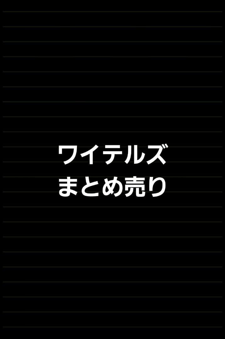 ワイテルズ まとめ売りメンバーごと 最終編集済