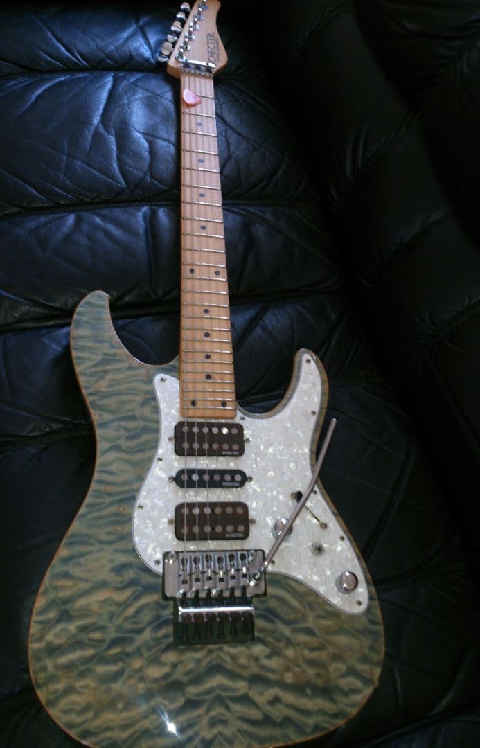 SCHECTER(シェクター)ジャパン、SD−2−24、エレキギター、