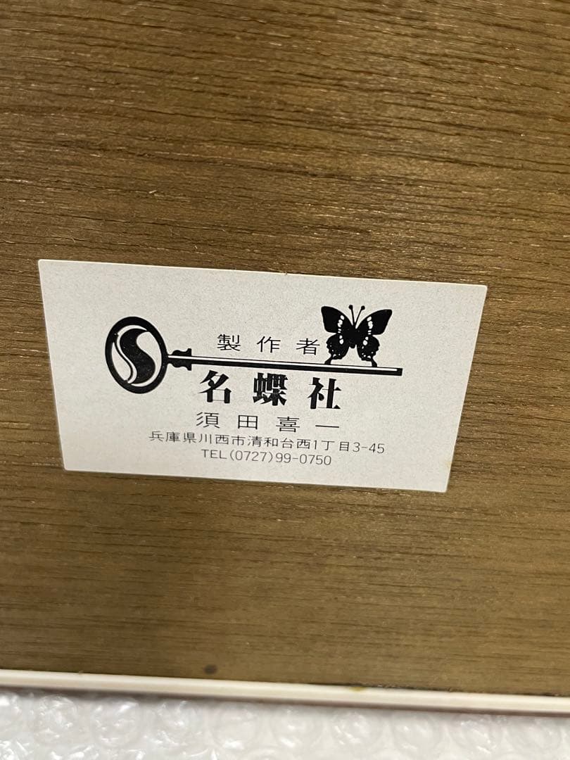 標本 名蝶社 カブトムシ クワガタ 3種 標本ケース入り