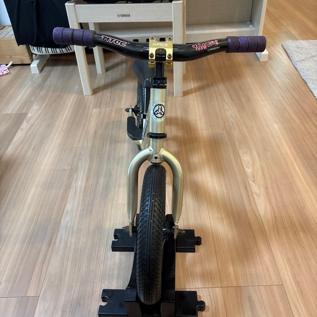 10周記念限定ストライダープロ ゴールド