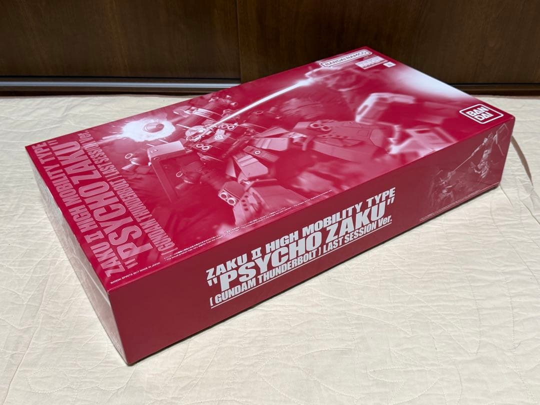 HG 1/144 サイコ・ガンダムMk-II・ＭＧ 1/100サイコ・ザク