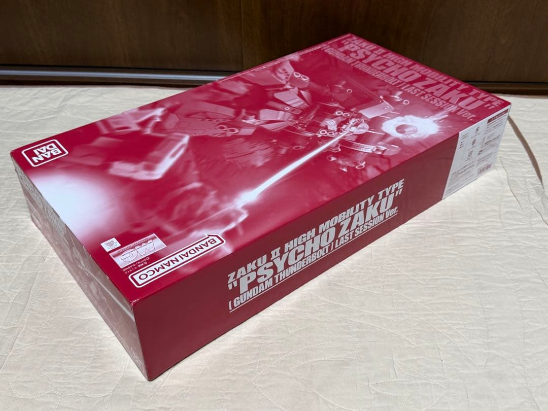 HG 1/144 サイコ・ガンダムMk-II・ＭＧ 1/100サイコ・ザク