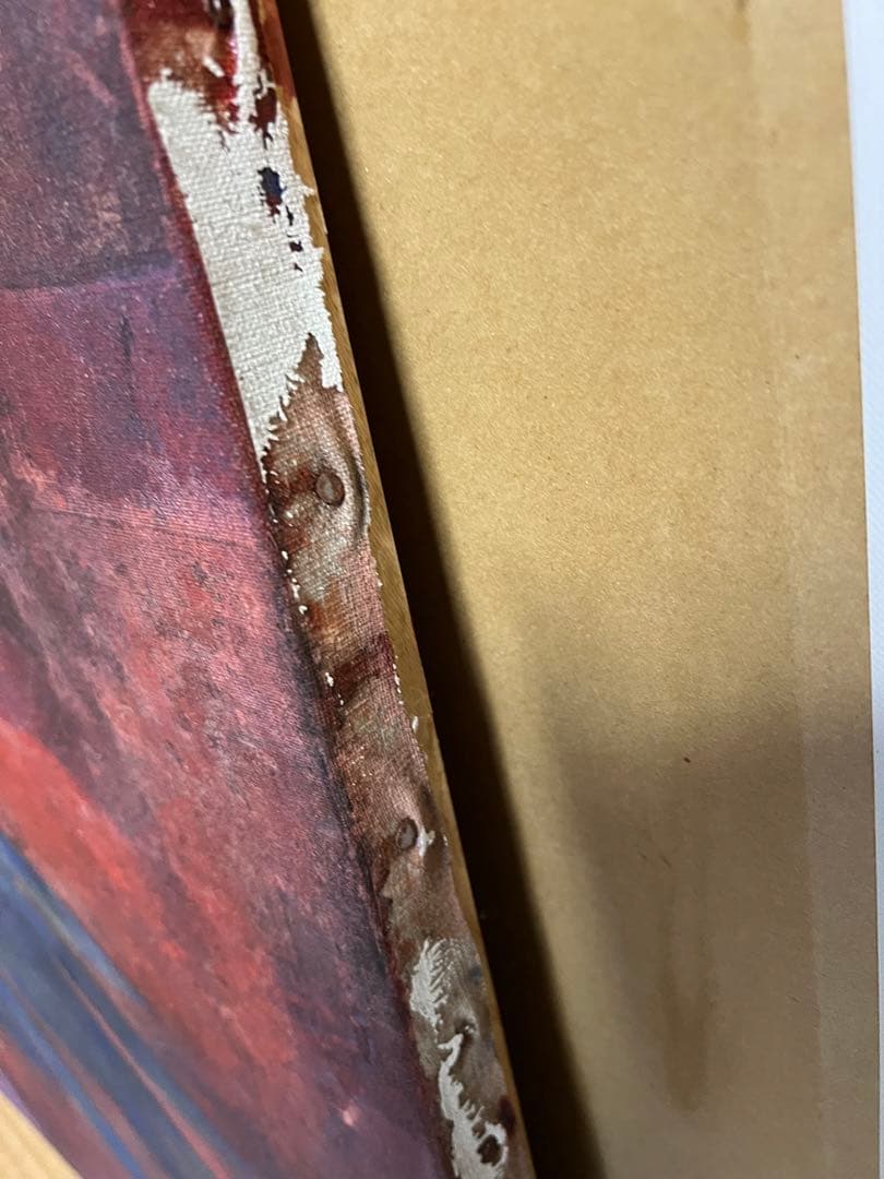 日本画　アンデスコンドル　鳥　赤　B1サイズ