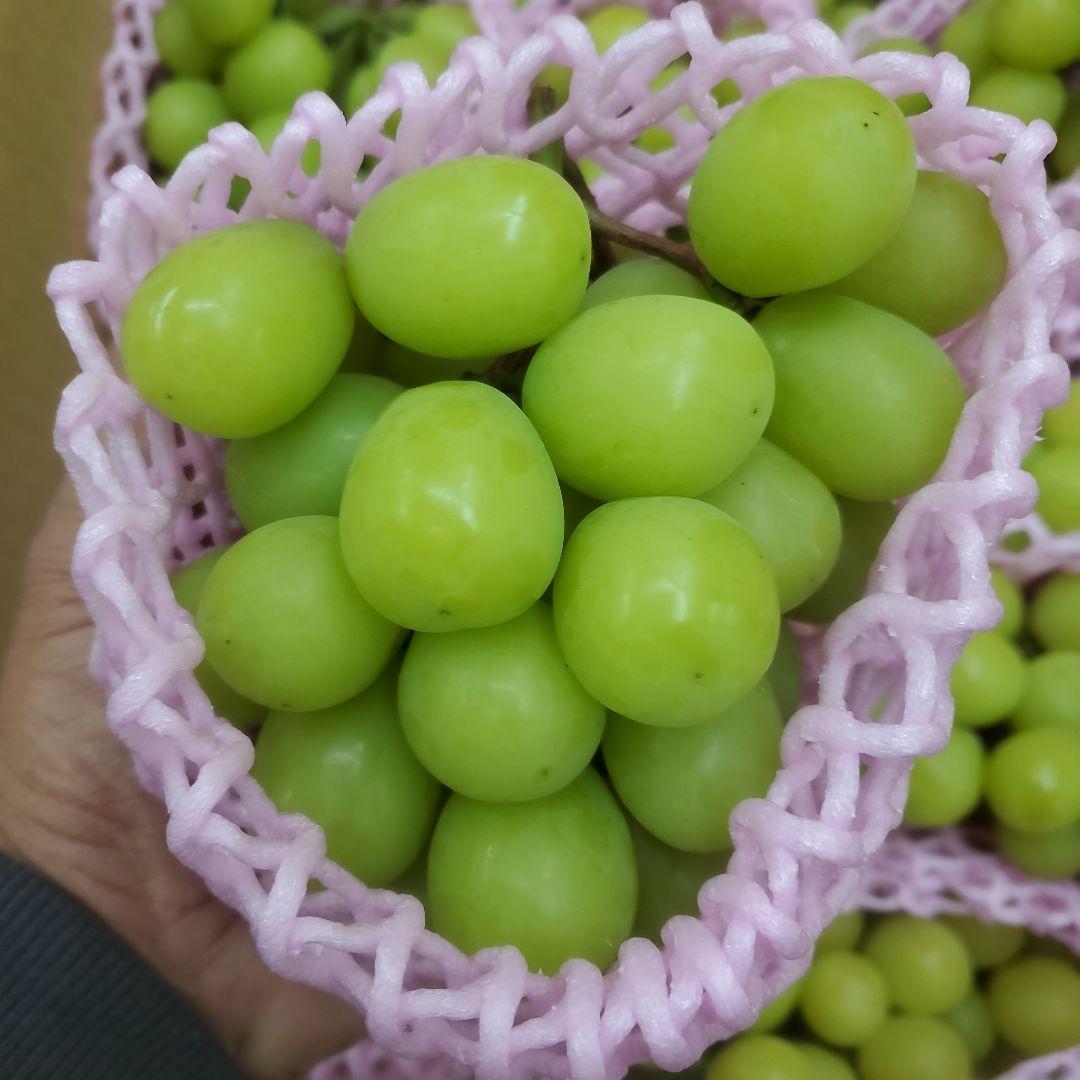 3️⃣ 山梨県産 シャインマスカット １１房 箱込み5.3キロ