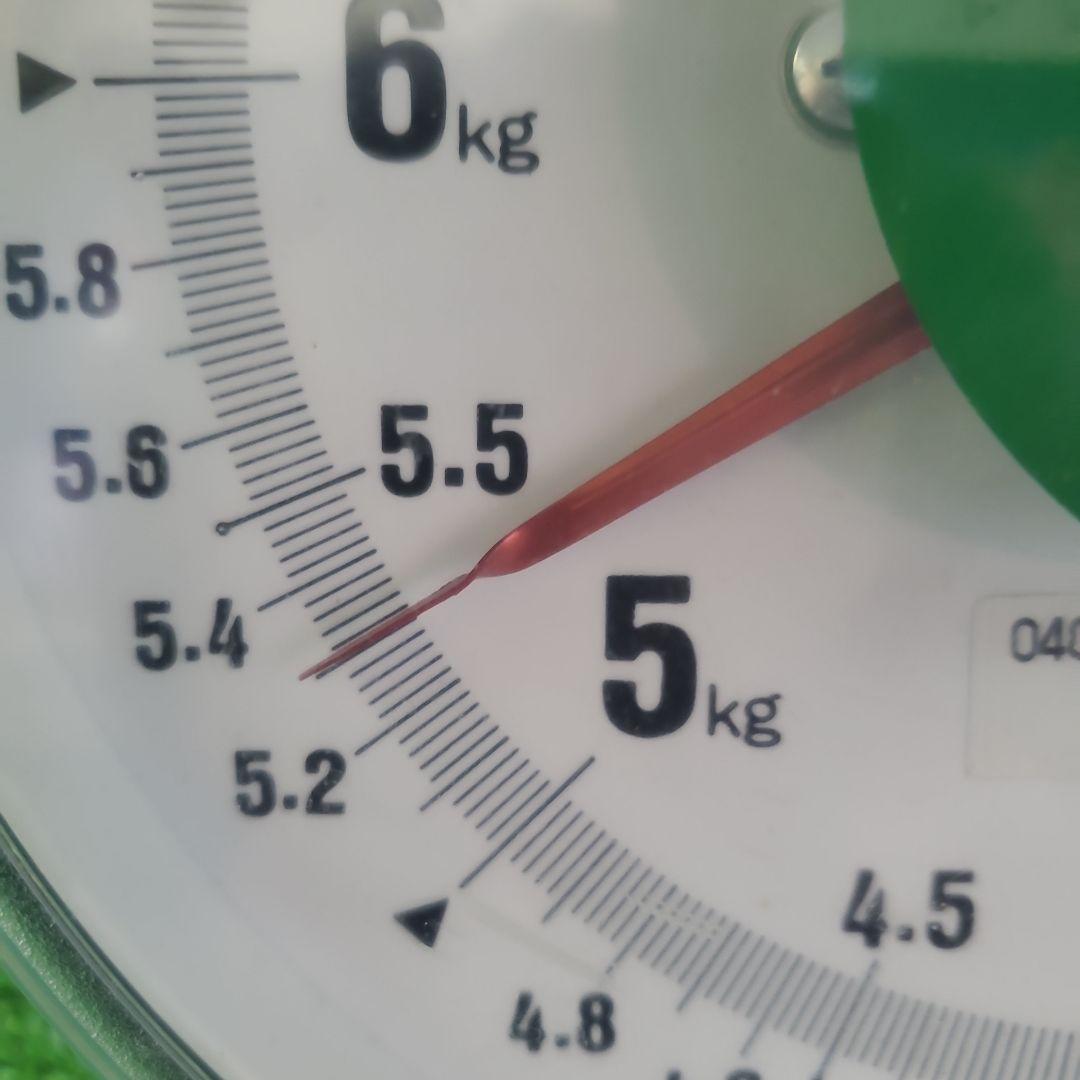 3️⃣ 山梨県産 シャインマスカット １１房 箱込み5.3キロ