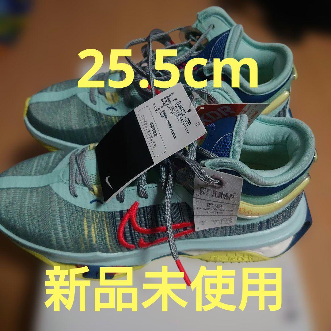 ナイキ バスケ ジム ストリート バッシュ gt jump