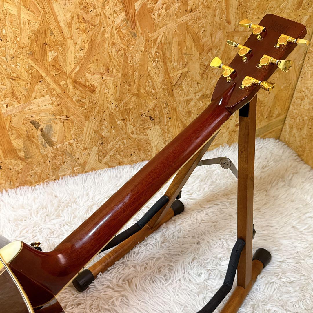 Morris TF W-50 ハカランダ 3Pバック アコースティックギター