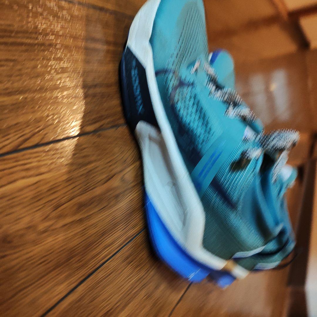 ナイキ トレイル ゼガマ ズームX NIKE ZEGAMA 26.0cm