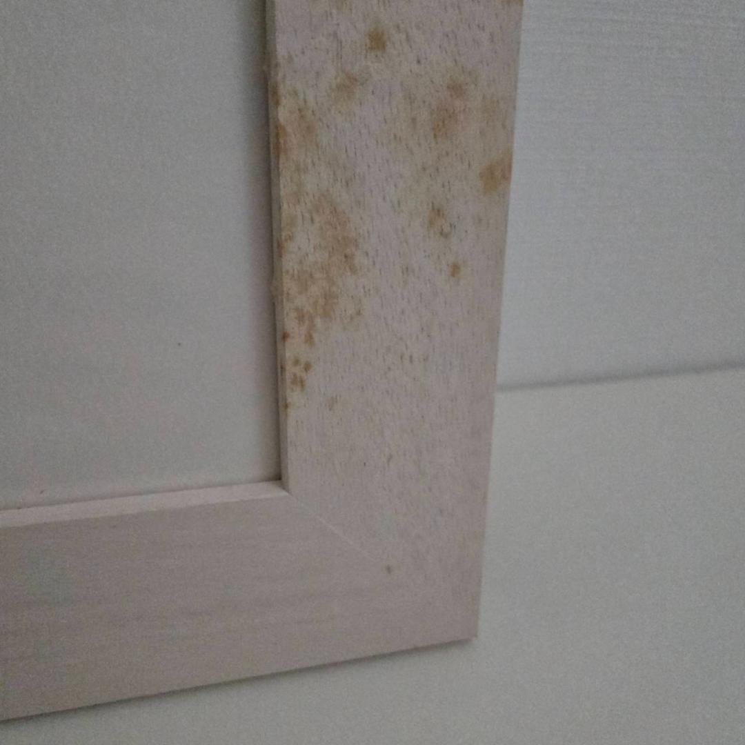 最終値下げ　藤城清治　馬が飛ぶ　ダイヤモンドクスリーン　直筆サイン　保証