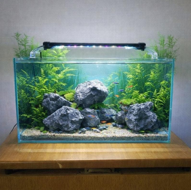 【受注生産】アクアリウム