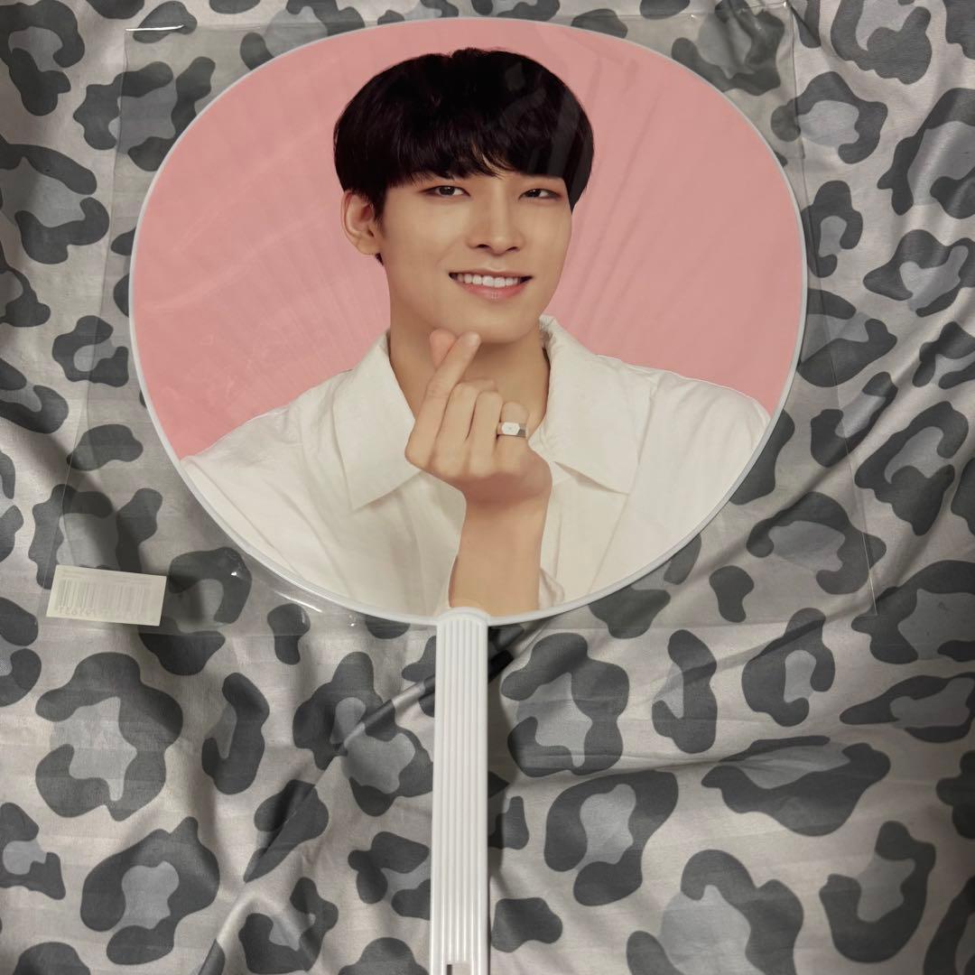 SEVENTEEN セブチ ウォヌ 団扇 うちわ 18本まとめ売り