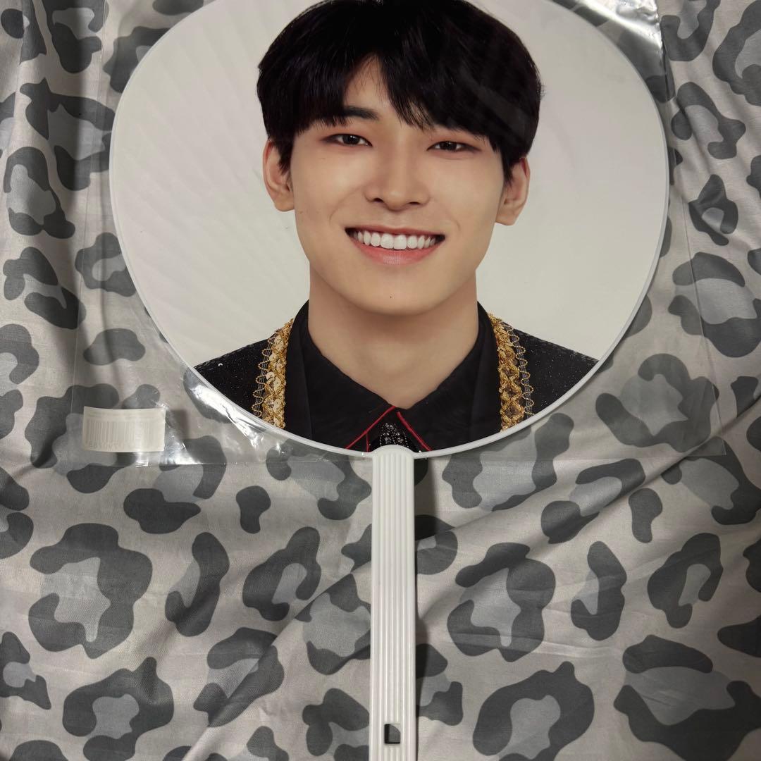 SEVENTEEN セブチ ウォヌ 団扇 うちわ 18本まとめ売り