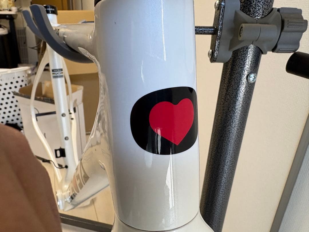 DE ROSA デローザ 838 DISK フレームセット ホワイト 50サイズ